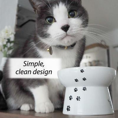 Show full view: Necoichi Ceramic Elevated Cat Food Bowl, White Paw Print, 1-cup slide 7 of 13