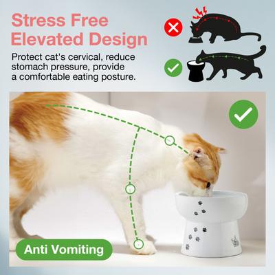 Show full view: Necoichi Ceramic Elevated Cat Water Bowl, Cat Paw Print, Extra Tall, 12.2-oz slide 4 of 12