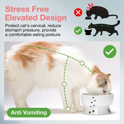 Show full view: Necoichi Ceramic Elevated Cat Water Bowl, Cat Paw Print, Raised, 12.2-oz slide 3 of 13