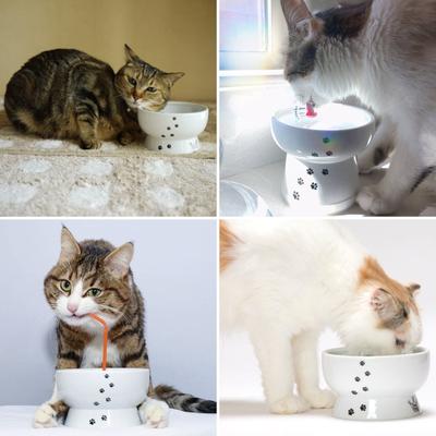 Show full view: Necoichi Ceramic Elevated Cat Water Bowl, Cat Paw Print, Raised, 12.2-oz slide 9 of 13