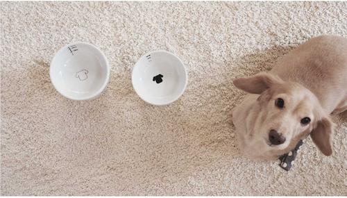 Show full view: Necoichi Ceramic Elevated Dog Food Bowl, 1.5-cup slide 9 of 11