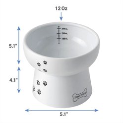 Necoichi Ceramic Elevated Dog Water Bowl, 12-oz slide 2 of 9