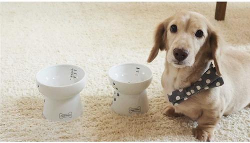 Show full view: Necoichi Ceramic Elevated Dog Water Bowl, 12-oz slide 9 of 11