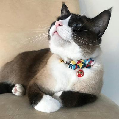 Show full view: Necoichi Chirimen Daruma Charm Breakaway Cat Collar with Bell, Red, 8.2 to 13.7-in neck, 2/5-in wide slide 6 of 8