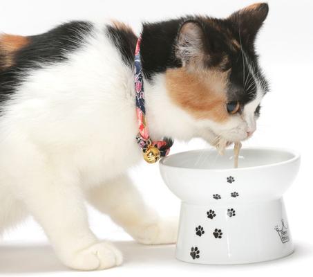 Show full view: Necoichi Chirimen Fireworks Breakaway Cat Collar with Bell, Navy, 8.2 to 13.7-in neck, 2/5-in wide slide 7 of 9