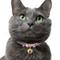 Show in main carousel: Necoichi Chirimen Fireworks Breakaway Cat Collar with Bell, Purple, 8.2 to 13.7-in neck, 2/5-in wide slide 6 of 9