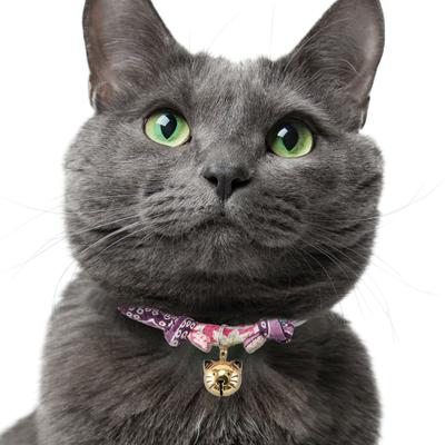 Show full view: Necoichi Chirimen Fireworks Breakaway Cat Collar with Bell, Purple, 8.2 to 13.7-in neck, 2/5-in wide slide 6 of 9