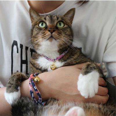 Show full view: Necoichi Chirimen Fireworks Breakaway Cat Collar with Bell, Purple, 8.2 to 13.7-in neck, 2/5-in wide slide 7 of 9