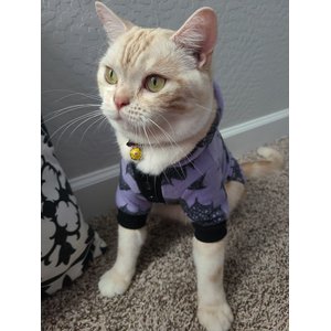 Necoichi Chirimen Plum Blossom Breakaway Cat Collar with Bell, Red, 8.2 to 13.7-in neck, 2/5-in wide