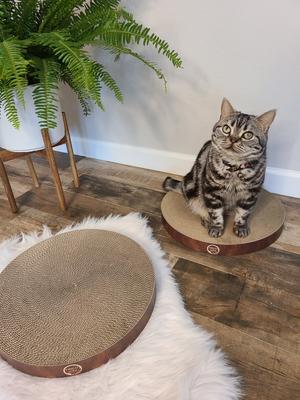 Show full view: Necoichi Cozy Cat Scratcher Bowl Replacement Pad, 2 count, Dark Cherry, Large slide 8 of 13