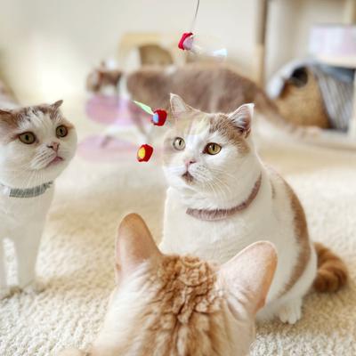 Show full view: Necoichi Crinkly Critters Dancing Dragonfly Trio Cat Wand Toy slide 9 of 11