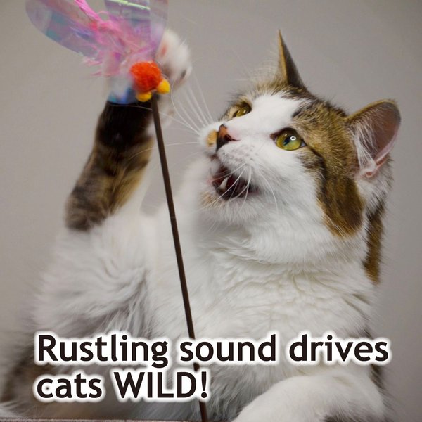 Show full view: Necoichi Crinkly Critters Fluttery Fish Cat Wand Toy slide 3 of 11