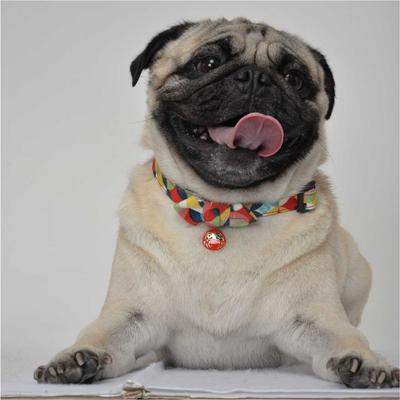 Show full view: Necoichi Daruma Charm Cotton Bow Tie Dog Collar, Medium, Red slide 7 of 9