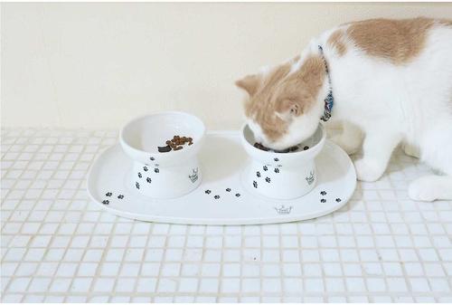 Show full view: Necoichi Double Dining Tray Set & Elevated Cat Bowls slide 6 of 12