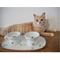 Show in main carousel: Necoichi Double Dining Tray Set & Elevated Cat Bowls slide 9 of 12