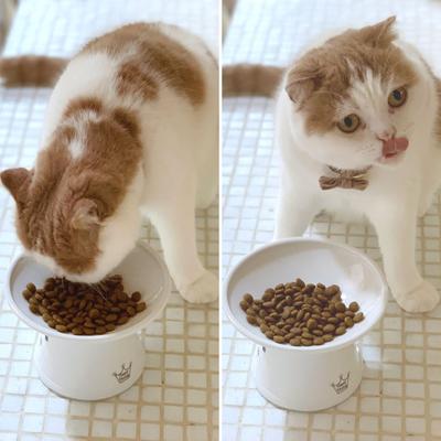 Show full view: Necoichi Extra Wide Ceramic Elevated Cat Food Bowl, Large, 2 cup, Cat slide 9 of 12