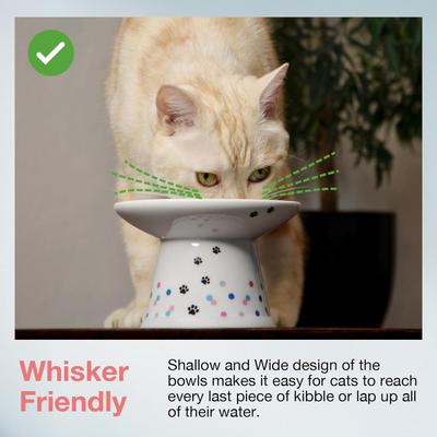 Necoichi Extra Wide Ceramic Elevated Cat Food Bowl, Large, 2 cup