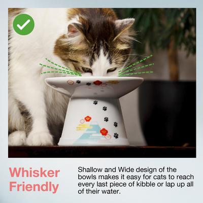 Necoichi Extra Wide Ceramic Elevated Cat Food Bowl, Large, 2 cup