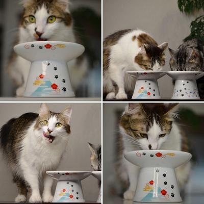 Show full view: Necoichi Extra Wide Ceramic Elevated Cat Food Bowl, Large, 2 cup, Fuji slide 7 of 10