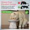 Show in main carousel: Necoichi Extra Wide Ceramic Elevated Cat Food Bowl, Large, 2 cup, Sakura slide 2 of 9