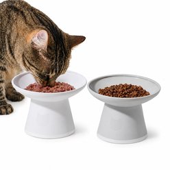 Necoichi Extra Wide Raised Basic Edition Non-Skid Elevated Cat Bowl, 2 count, 1.5-cup, Classic