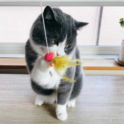Show full view: Necoichi Flitters Bouncy Mouse Cocoon Feather Wand Cat Toy, Blue slide 9 of 11