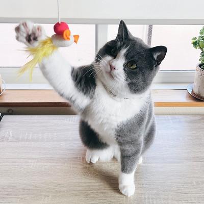 Show full view: Necoichi Flitters Bouncy Mouse Cocoon Feather Wand Cat Toy, Blue slide 8 of 11