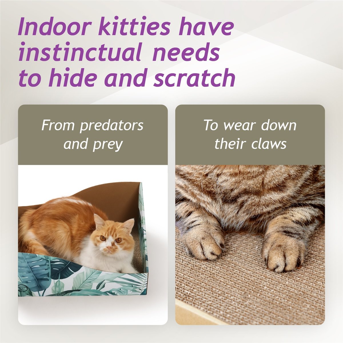 虎ネイバーフッド　NHRJ .SCRATCH / NECOICHI Hideaway Box Cat Scratcher, Go Green - Chewy.com