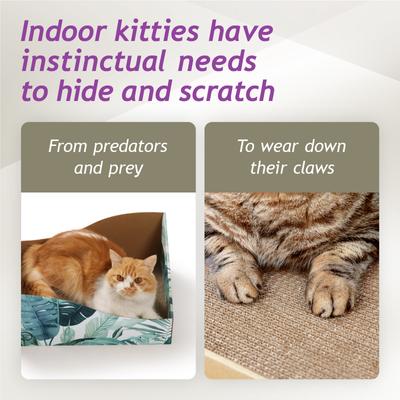 Show full view: Necoichi Hideaway Box Cat Scratcher, Go Green slide 4 of 8