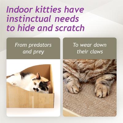 Show full view: Necoichi Hideaway Box Cat Scratcher, Oak Brown slide 4 of 8