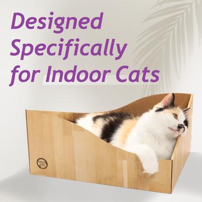 Show full view: Necoichi Hideaway Box Cat Scratcher, Oak Brown slide 2 of 8