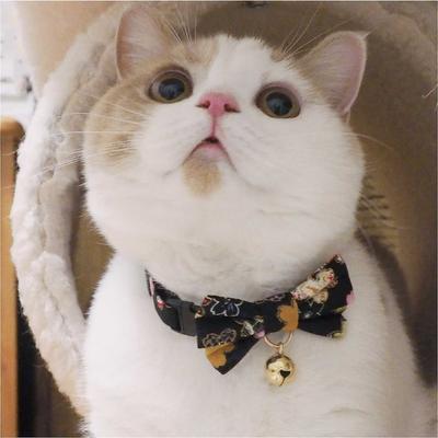 Show full view: Necoichi Japanese Kimono Bow Tie Cotton Breakaway Cat Collar with Bell, Black, 8.2 to 13.7-in neck, 2/5-in wide slide 5 of 9