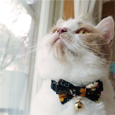 Show full view: Necoichi Japanese Kimono Bow Tie Cotton Breakaway Cat Collar with Bell, Black, 8.2 to 13.7-in neck, 2/5-in wide slide 6 of 9