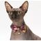Show in main carousel: Necoichi Japanese Kimono Bow Tie Cotton Breakaway Cat Collar with Bell, Purple, 8.2 to 13.7-in neck, 2/5-in wide slide 2 of 5