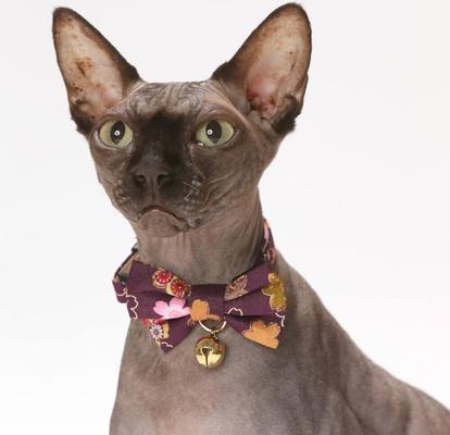 Show full view: Necoichi Japanese Kimono Bow Tie Cotton Breakaway Cat Collar with Bell, Purple, 8.2 to 13.7-in neck, 2/5-in wide slide 2 of 5