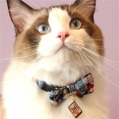 Show full view: Necoichi Kabuki Charm Bow Tie Cotton Breakaway Cat Collar with Bell, Navy, 8.2 to 13.7-in neck, 2/5-in wide slide 8 of 9