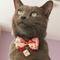 Show in main carousel: Necoichi Kabuki Charm Bow Tie Cotton Breakaway Cat Collar with Bell, Red, 8.2 to 13.7-in neck, 2/5-in wide slide 7 of 9