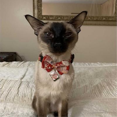 Show full view: Necoichi Kabuki Charm Bow Tie Cotton Breakaway Cat Collar with Bell, Red, 8.2 to 13.7-in neck, 2/5-in wide slide 8 of 9