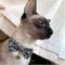 Show in main carousel: Necoichi Kiku Ribbon Bow Tie Cotton Breakaway Cat Collar with Bell, Navy, 8.2 to 13.7-in neck, 2/5-in wide slide 9 of 10