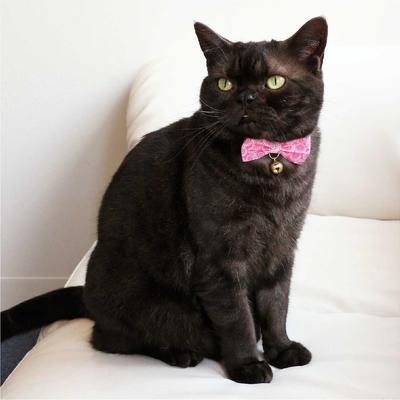 Show full view: Necoichi Kiku Ribbon Bow Tie Cotton Breakaway Cat Collar with Bell, Pink, 8.2 to 13.7-in neck, 2/5-in wide slide 8 of 9