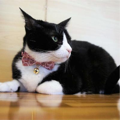 Show full view: Necoichi Kiku Ribbon Bow Tie Cotton Breakaway Cat Collar with Bell, Red, 8.2 to 13.7-in neck, 2/5-in wide slide 9 of 10