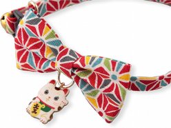 Necoichi Lucky Charm Bow Tie Cotton Breakaway Cat Collar with Bell, Red, 8.2 to 13.7-in neck, 2/5-in wide slide 2 of 7