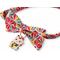 Show in main carousel: Necoichi Lucky Charm Bow Tie Cotton Breakaway Cat Collar with Bell, Red, 8.2 to 13.7-in neck, 2/5-in wide slide 3 of 10