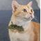 Show in main carousel: Necoichi Ninja Cotton Breakaway Cat Collar with Bell, Green, 8.2 to 13.7-in neck, 2/5-in wide slide 6 of 9