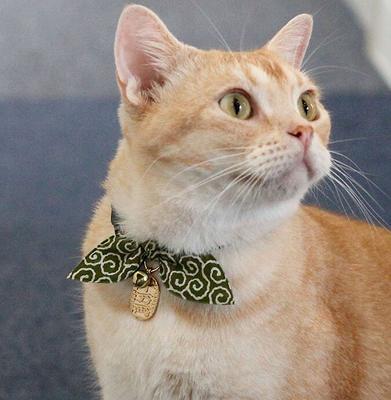 Show full view: Necoichi Ninja Cotton Breakaway Cat Collar with Bell, Green, 8.2 to 13.7-in neck, 2/5-in wide slide 6 of 9