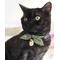 Show in main carousel: Necoichi Ninja Cotton Breakaway Cat Collar with Bell, Green, 8.2 to 13.7-in neck, 2/5-in wide slide 8 of 9