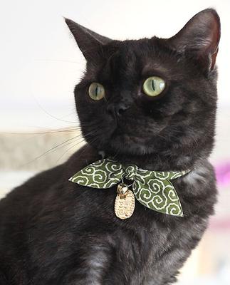 Show full view: Necoichi Ninja Cotton Breakaway Cat Collar with Bell, Green, 8.2 to 13.7-in neck, 2/5-in wide slide 8 of 9