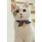 Show in main carousel: Necoichi Ninja Cotton Breakaway Cat Collar with Bell, Navy, 8.2 to 13.7-in neck, 2/5-in wide slide 5 of 8