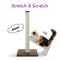 Show in main carousel: Necoichi Premium Comfort 0.80-in Cat Scratching Post Replacement, Brown, Large slide 4 of 8