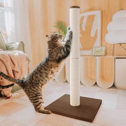 Necoichi Premium Comfort 23.6-in Cat Scratching Post, Dark Cherry/Brown, Large